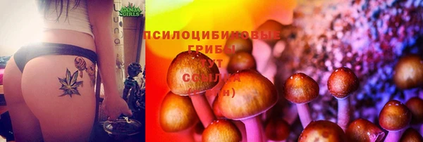 эйфоретик Баксан