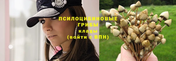 мет Нея