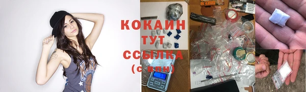 индика Белоозёрский