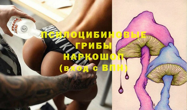 эйфоретик Баксан