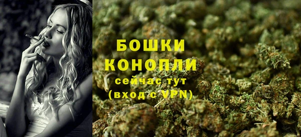 apvp Белокуриха