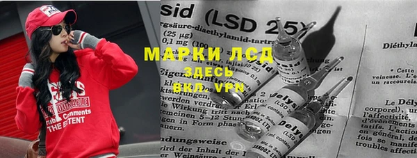 PSILOCYBIN Балахна